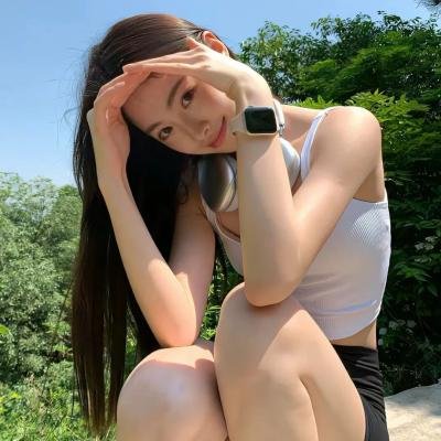领头羊